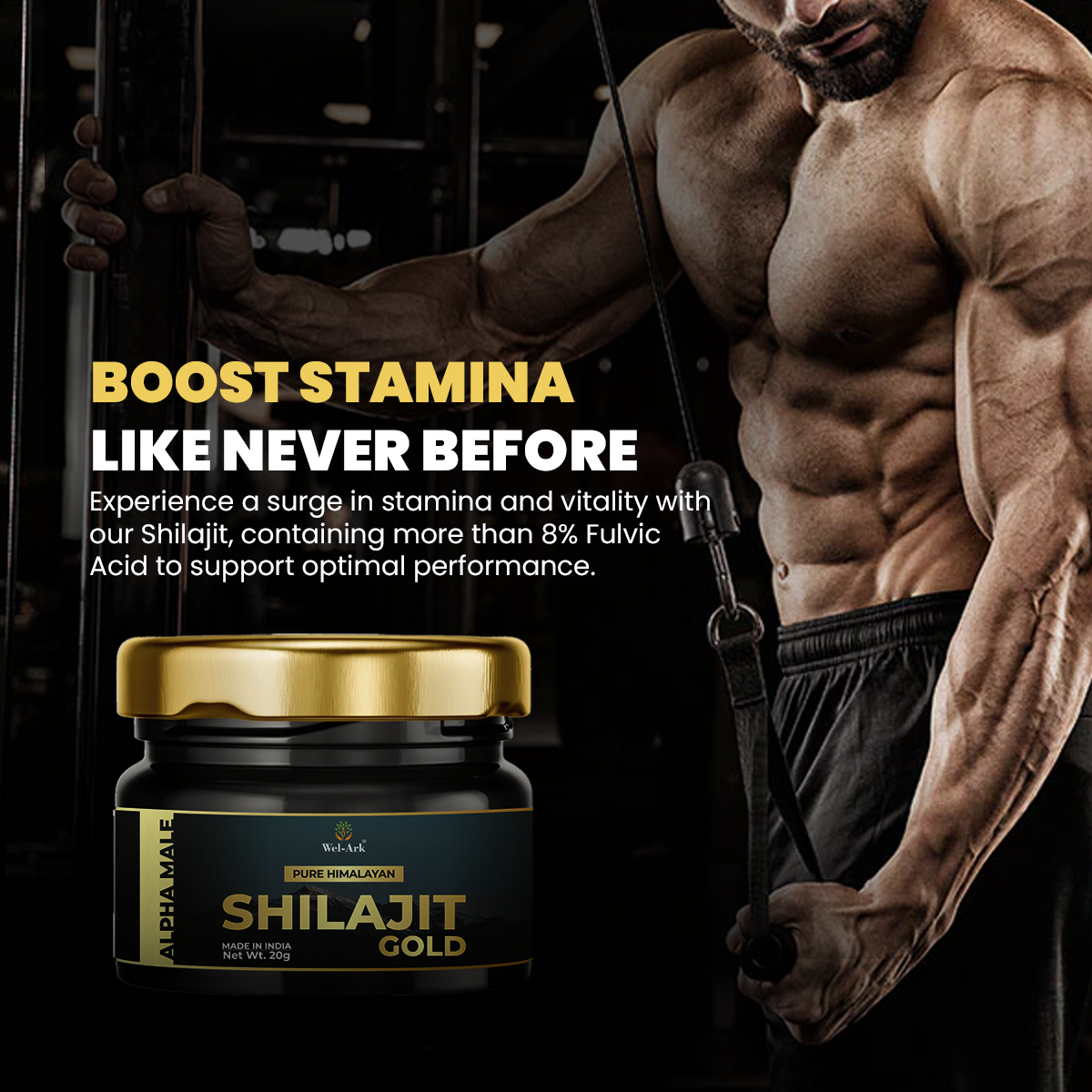 ALPHA MALE PURE HIMALIYAN SHILAJIT GOLD (20gm)