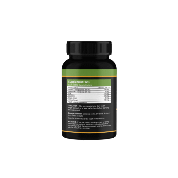 Fat Burner B1