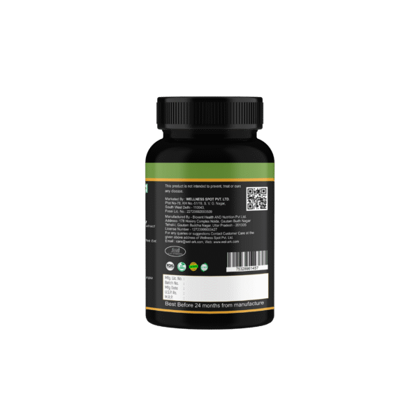 Fat Burner B2