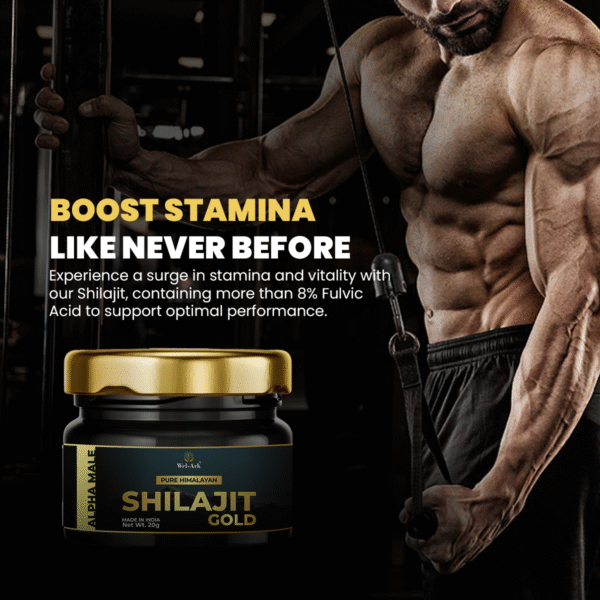 Alpha Male Pure Himaliyan Shilajit Gold