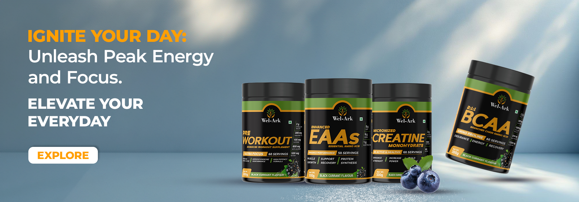 banner 2 hero section'